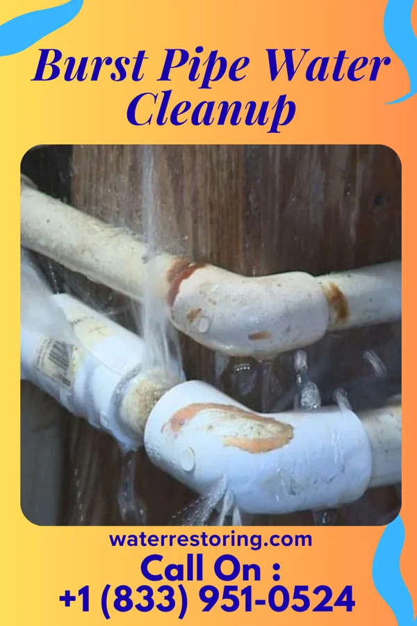 Burst Pipe Water Cleanup in De Motte, IN