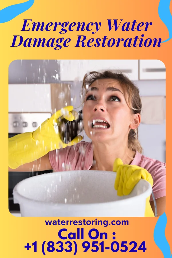 Emergency Water Damage Restoration in De Motte, IN