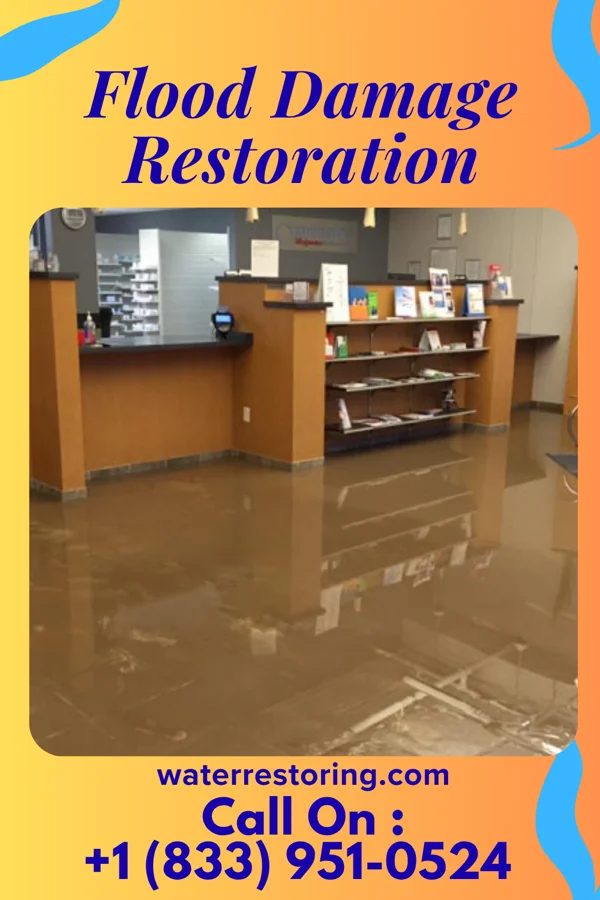 Flood Damage Restoration in De Motte, IN