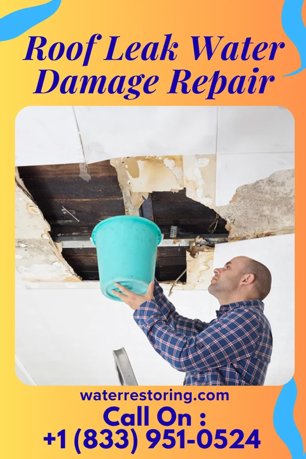 Roof Leak Water Damage Repair in De Motte, IN